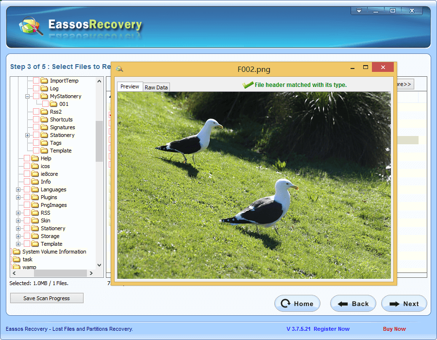Recover Lost Files From Micro SD Card With Free File Recovery Software