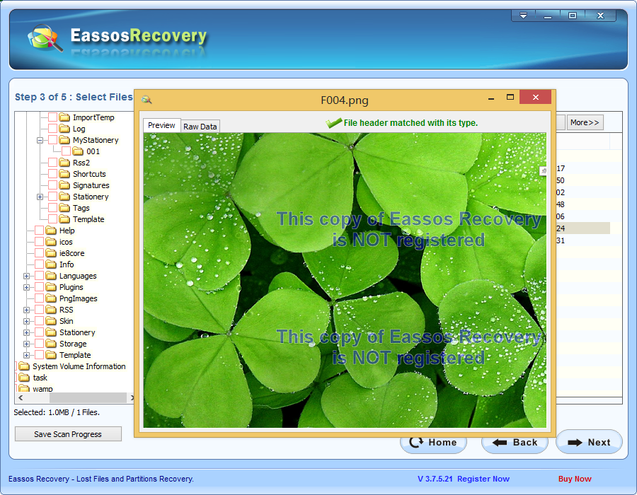 Free Memory stick data recovery Eassos Blog