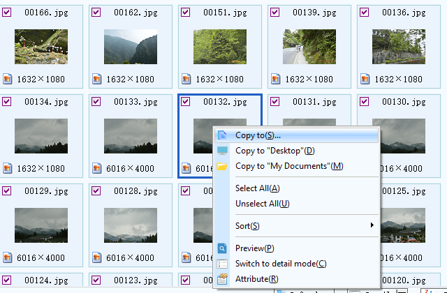 copy files