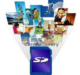 SD Card Recovery Software Free Download Full Version