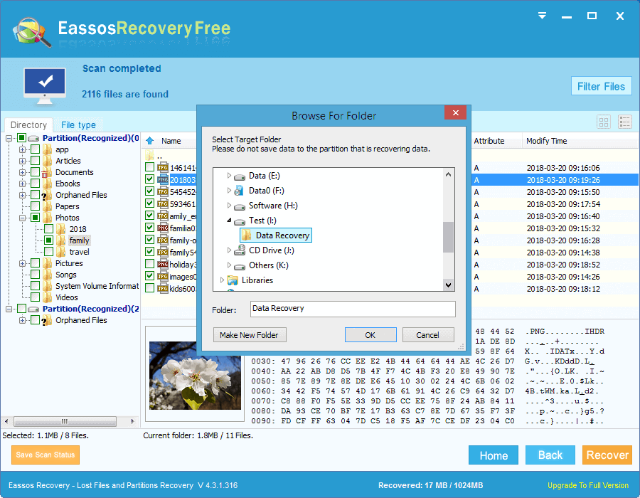 Recover Deleted Files