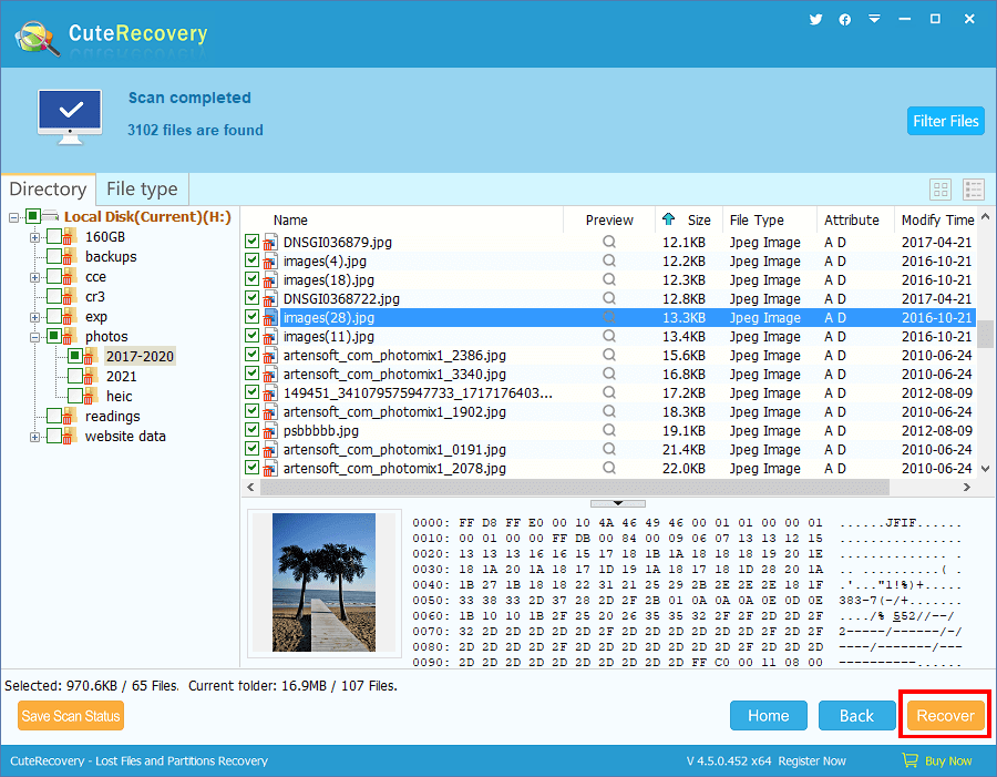 Deleted File Recovery