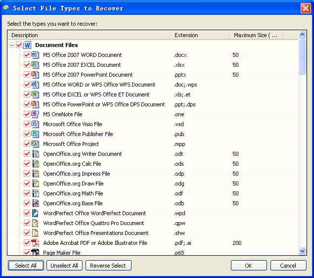 data recovery by file type