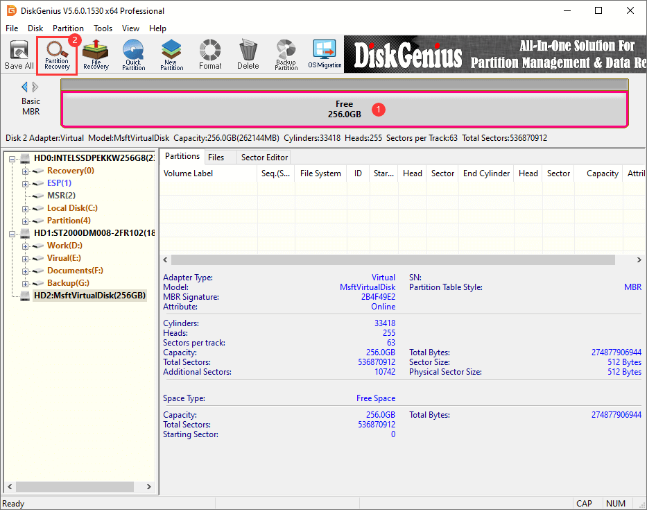 Recover Deleted Partitions