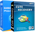 Data Recovery