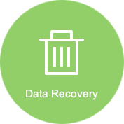 recovery data